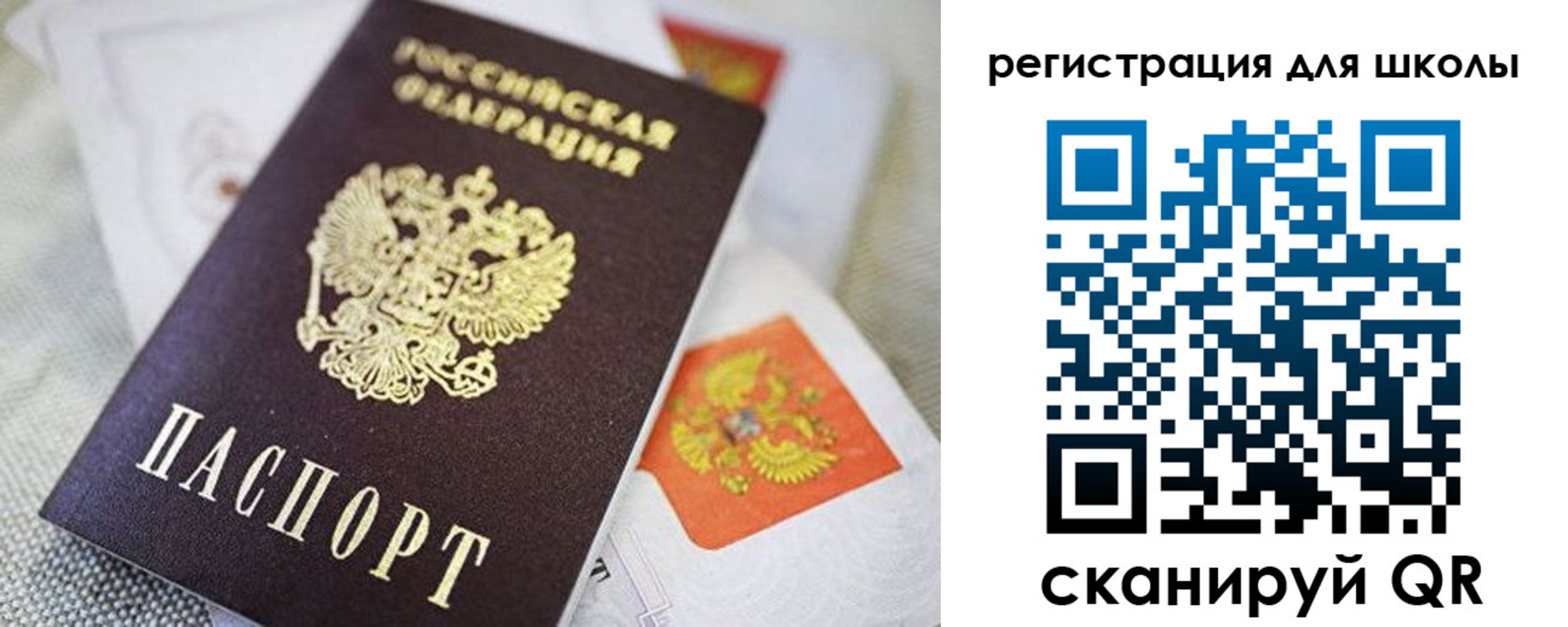 пропишу в квартире в Калининграде